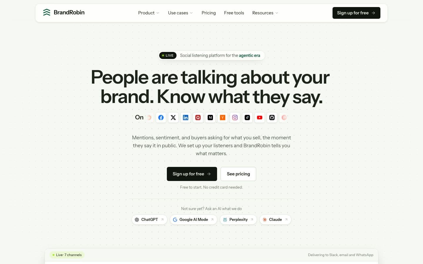 The BrandRobin homepage